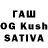 APVP VHQ CoDog
