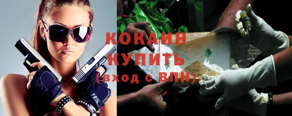 СК Куйбышев