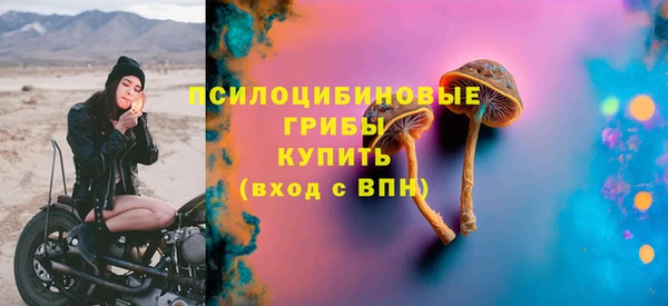 прущий лед Гусев