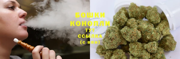 крисы Кулебаки