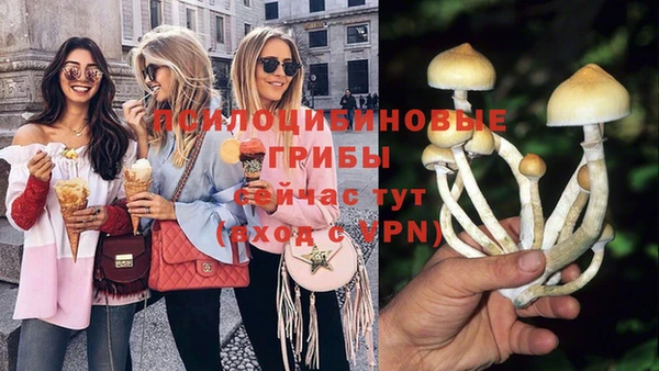 дмт Горнозаводск